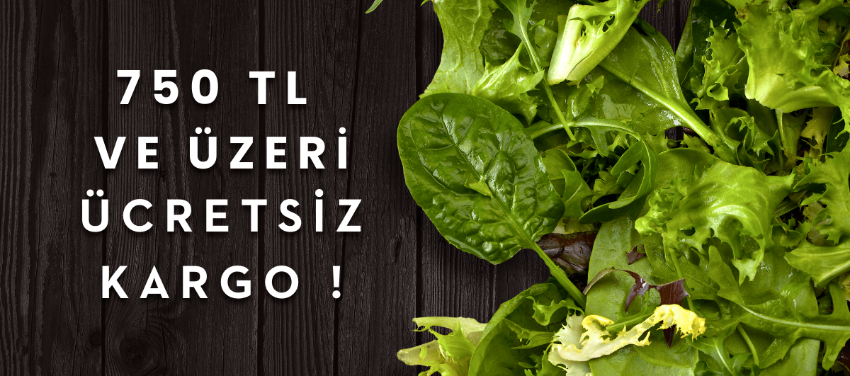 local-greens-kargo-ucretsiz-banner