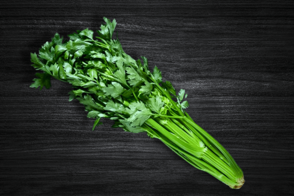 local-greens-sap-kereviz-sapi-tekli-celery